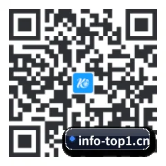 iOS 系统版 二维码(TOP1)